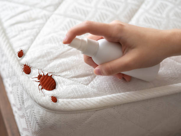 Pest Control Cost in Belding, MI